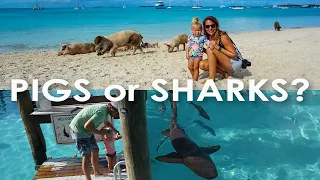 Pigs or Sharks: Which would you let your 2 year old pet? (Ep 49 – Monday Never Sailing)