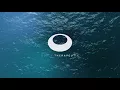 Smoke Trees - Trippin