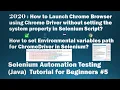 How to Launch Chrome Browser using Chrome Driver without setting the system property