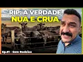 Download Lagu RIP: Os Erros que Acabam com a Recria Intensiva á Pasto