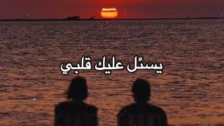 قتلني الش وق   محمود التركي  حالات واتساب       عايش على وعدك قتلني الشوك حبي دندنها