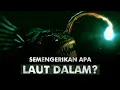 Mengungkap Misteri Laut Dalam | Midnight Zone