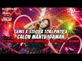 Download Lagu DJ GENIT X STECU X TOKI PINTU X CALON MANTU IDAMAN BREAKBEAT FULL MELODY TERBARU 2025