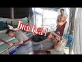 Download Lagu 10 Râu Ngủ Quá Giờ Trưa Bị Bà 8 Phong Cho Ăn Cá Thối