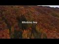 Ramones - Blitzkrieg Bop (Lyrics)