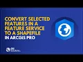 ArcGIS Pro - Convert selected features from a Feature Service to a Shapefile