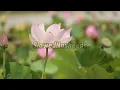 Download Lagu Maher Zain - Peace Be Upon You [slowed]