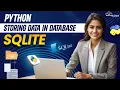 SQLite - Storing Data in Database Python Tutorial