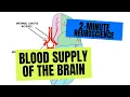 2-Minute Neuroscience Blood Supply of the Brain