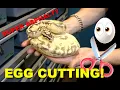 Ball Python Egg Cutting Did she prove out