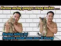 Download Lagu Kucing ini sering ganggu orang makan, ternyata sudah lama mau dibuang ‼️Catlovers and street feeding