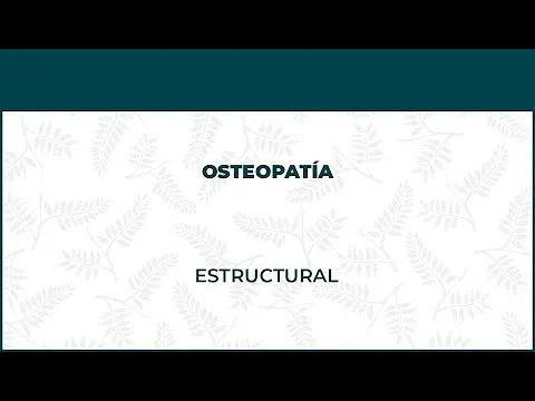 Osteopatía Estructural - FisioClinics Logroño, La Rioja