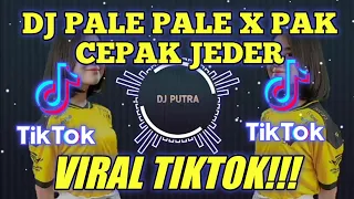 Download DJ PALE PALE X PAK CEPAK CEPAK JEGER REMIX TIK TOK VIRAL 2021 MP3