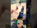 INSTAGRAM REELS CRINGE TROLL | TRENDING REELS ATROCITIES | FUNNY MEMES | COMEDY FOREVER