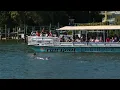 Do you guys ever see Dolphins on your tours Fun Boat Tours Siesta Key Anna Maria Island
