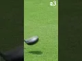 Florida man beats golfer to death with his own clubs on the golf course