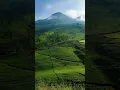 Download Lagu Tambatan Hati di Lala Sedih