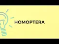 What is the meaning of the word HOMOPTERA