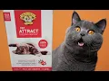 Dr Elsey s Cat Attract Cat Litter Review My Go To Low Tracking Cat Litter