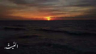 لك يا منازل في القلوب منازل المتنبي إلقاء أسامة الواعظ 