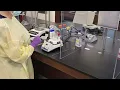 MIC Injectable Choline Compounding Lab High Point University North Carolina