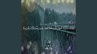 طارق محمد سورة العنكبوت 