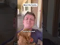 Download Lagu Terughouden om aan behoeften te voldoen