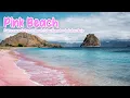 Pink Beach Pulau Komodo Labuan Bajo - Fakta Menarik Pantai Merah Pulau Komodo