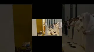 عبد الرحمن مسعد صلاة التراويح       دندنها