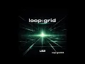 loop:grid:004