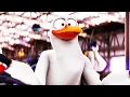 STORKS CLIP COMPILATION 2016