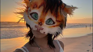 Q&A livestream !! 😼