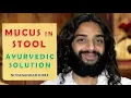 MUCUS IN STOOL AYURVEDIC EASY SOLUTION INTESTINAL KAPHA REMEDY BY NITYANANDAM SHREE