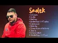 Petit prince-Sadek-The hits that defined the decade-Compatible