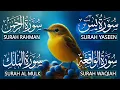 Lagu Relax Your Mind Through Quran Tilawat That Soothes Hearts | Surah Yasin Ar-Rahman Al-Waqiah Al-Mulk