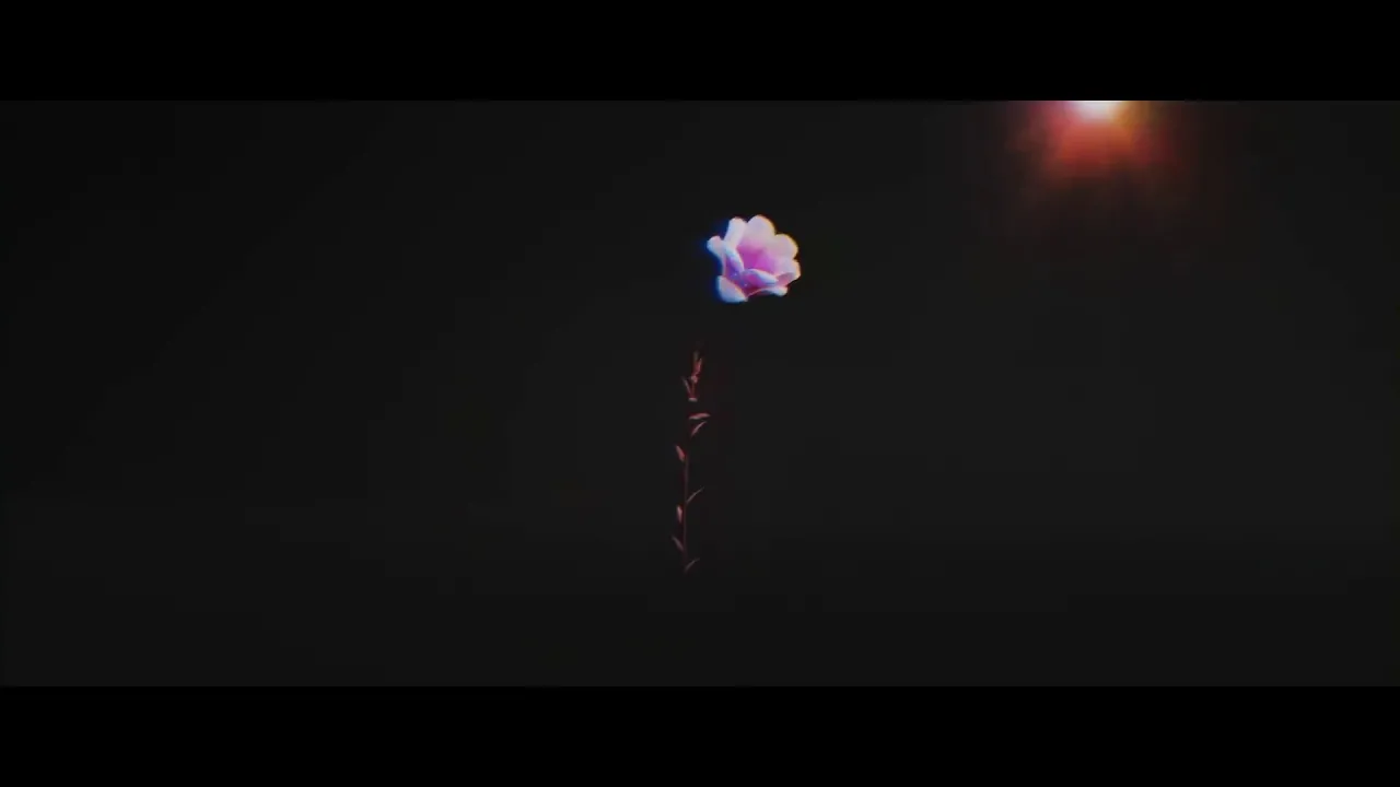 Shawn Mendes & Zedd - Lost in Japan (Remix) (lyricvideo)