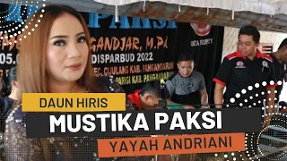 Download Daun Hiris Cover Yayah Andriani (LIVE SHOW Bojongsalawe Parigi Pangandaran) MP3