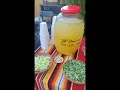 TJ TACOS LAS VEGAS NV EL BELICO BY FANTASMA SONG