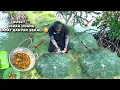 Lagu Gak nyangka..! Jebak udang seperti ini dapat banyak langsung masak