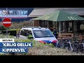 Download Lagu Schok na doodschieten 15-jarige jongen bij McDonald's: 'Was dit echt nodig?'