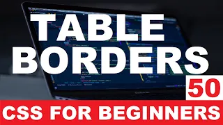CSS Tutorial 50 Table borders css