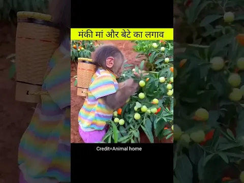 Baby | Amazing videos in hindi #shorts