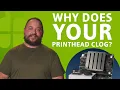 DTF Printhead Replacement Guide The Ink Problem Most Shops Miss