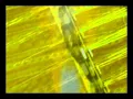 Radiated textiles part 2 - (Larajii - Meditation part II )
