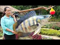 Download Lagu How To Catch \u0026 Process Giant Fish For Neighbors To Enjoy - Move Old House | Ly Thi Ca