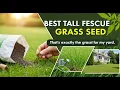 TOP 5 Best Tall Fescue Grass Seed 2026 Grow A Lush Lawn FAST With This Tall Fescue Grass Seed