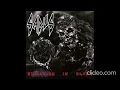 Sadus – Swallowed In Black [1990]