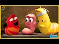 Download Lagu Larva Full  Episode | 1 Hour Compilation 🍟 Cartoons - Comedy - Comics 🥟 New Animation Movies 2020