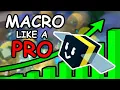 How To Macro Like A PRO In Bee Swarm Simulator