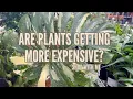 Plant Shopping at Heinz Brothers Nursery Checking out what plants costs these days